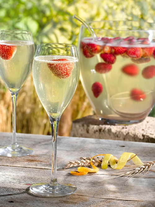 Recette soupe de champagne : la version légère et technique pas à pas